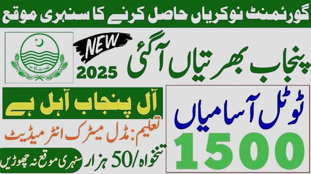 Government Organization Announces 22 Contract Vacancies – Apply Now